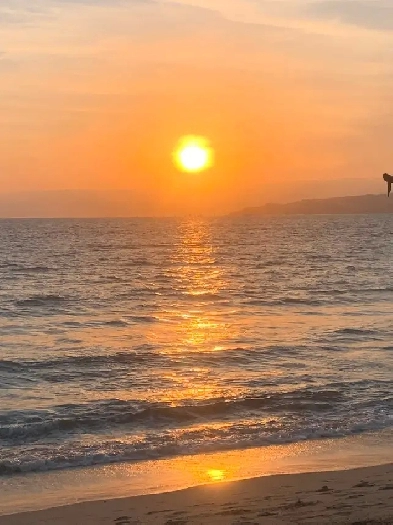 Furnished one Bedroom suite for One Gordon Head Image# 1