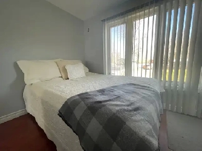 Studio Apartment All-Inclusive Image# 4