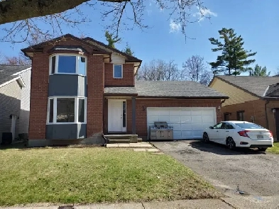 Room for rent Image# 1