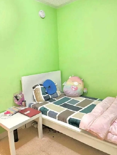 6 bedroom double car garage house for rent Image# 1