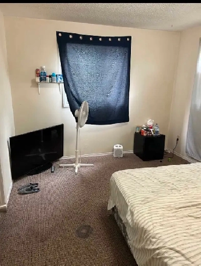 Large Room for Rent Image# 1