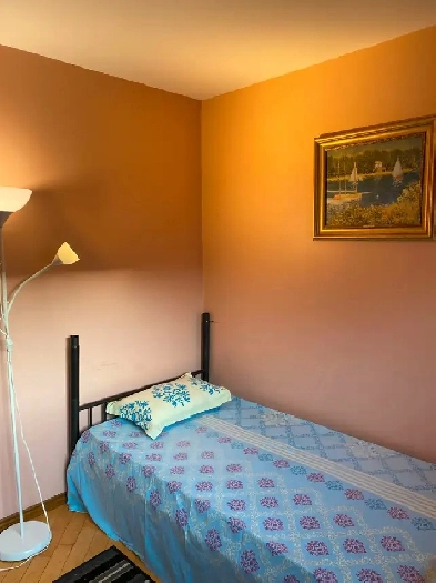 PRIVATE MASTER BEDROOM AVAILABLE FOR RENT - MARKHAM & SHEPPARD Image# 3