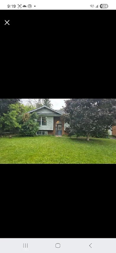 Large Basement Apt for rent/Senior support Image# 1