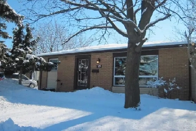 A room for rent in Etobicoke Image# 1