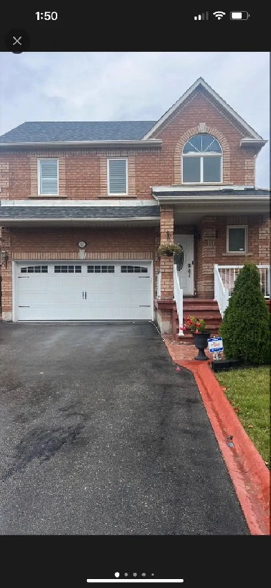 One bed room bsmt Apt for rent - immediately Image# 1