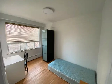 Bloor & Dufferin Subway clean & quiet small room Image# 3