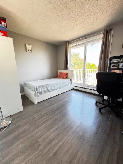 3 bedroom apartment for rent in London South Image# 11