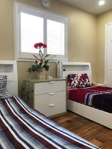 ROOMS FOR GIRLS NEAR SHERIDAN BRAND NEW BASEMENT Image# 1