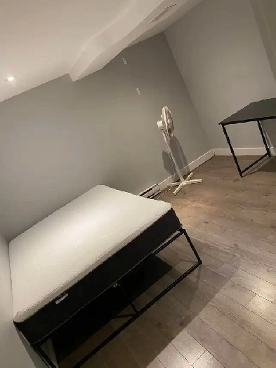 Student Room for Rent (3-Bedroom Apartment) Image# 5