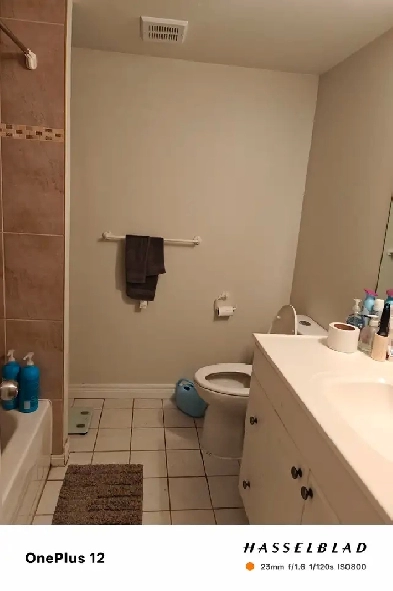 All-Inclusive 4-Bedroom Basement Suites for Rent for Students Image# 3