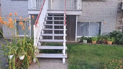 Jolie,éclairé ,très,spacieu 31/2 à louer Image# 10