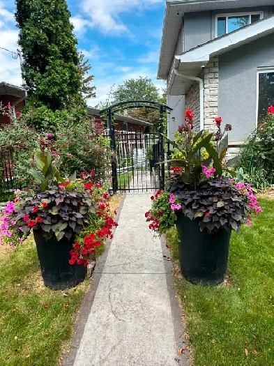 2 Bedroom 1 Bathroom Basement Apartment Mississauga Image# 4