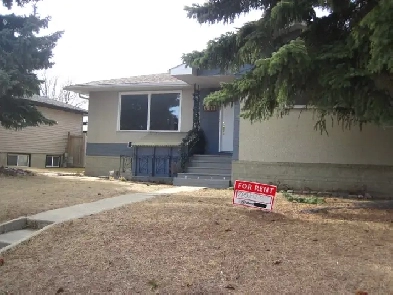 Basement suite for rent Image# 5
