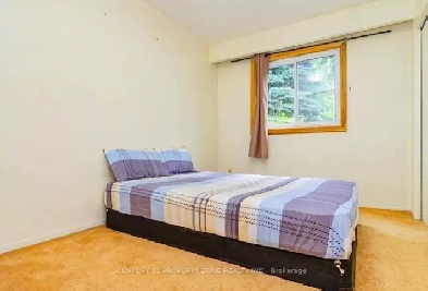 2 bhk House For Rent in Brampton Image# 3