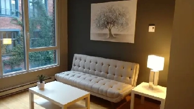 Superbe condo 31/2 meublé et tranquille- Vx Mtl Image# 2