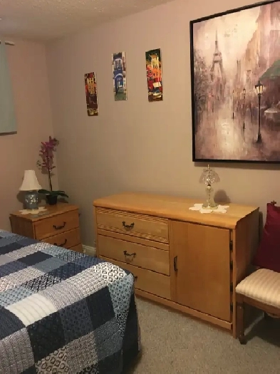 Room accommodation, seeking quiet female student Room and Board Image# 1