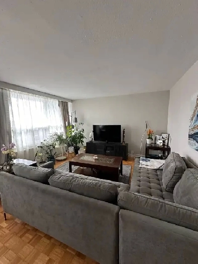 One bedroom apartment for rent Image# 3