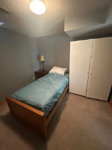 Basement for rent in Brampton walking distance to Trinity Common Image# 1