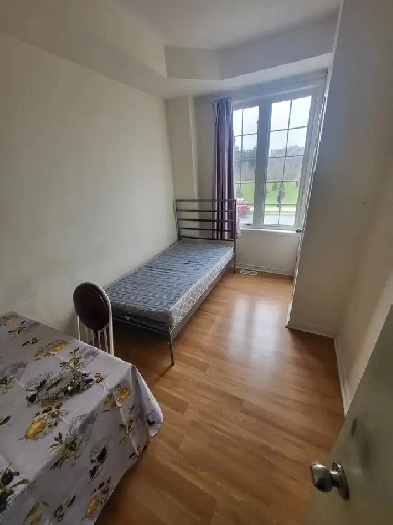 Close to york university Image# 1