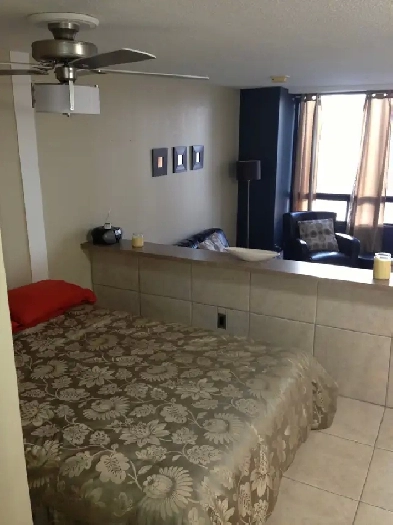 Furnished bachelor suite Image# 5