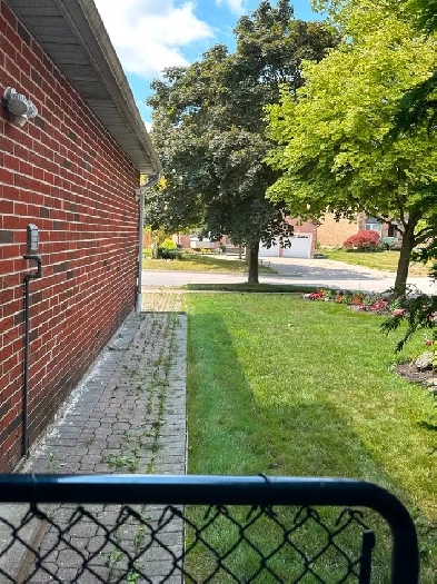 2BR Basement/Furnished/Private Entrance&Parking/Laundry/2min bus Image# 6