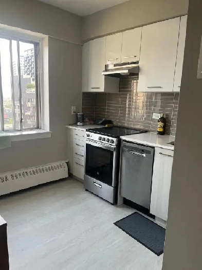 1 bedroom apartment Image# 2