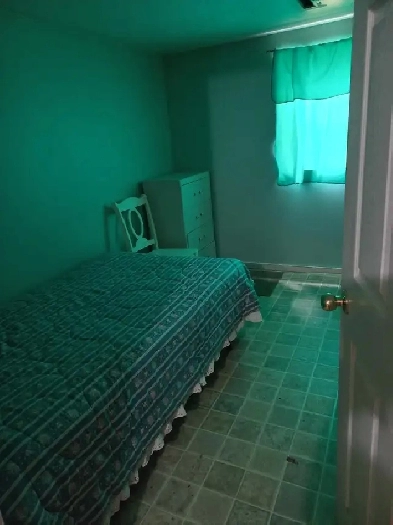 ROOM - Quiet, Clean - Duckworth/Grove - near  Georgian College Image# 1