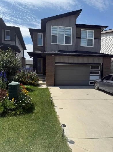 2 bedroom walkout basement for rent Image# 9
