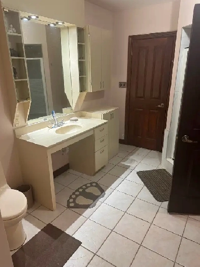 Spacious Basement for rent Image# 6