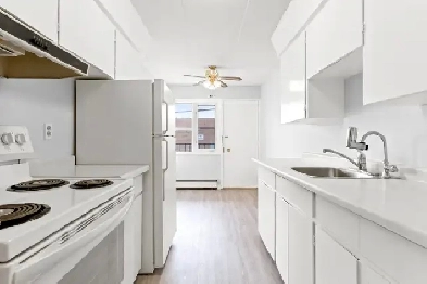 Newly renovated 2 & 1 Bedroom Apartments available Image# 5