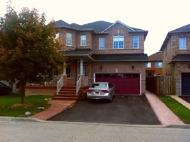 Large 1 Bedroom Basement Apartment in Dufferin Hill, Vaughan Image# 1