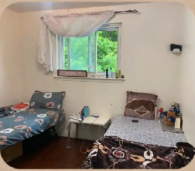 Room in sharing for 1 girl with Punjabi food-$550-Sep 1-Malton Image# 2