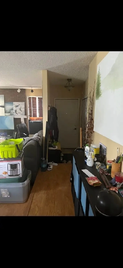 Available Sept 30. 3 bed 1.5 bathroom in Ranchlands Image# 3