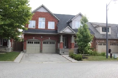 Legal Two Bedroom Basement in Milton Image# 1