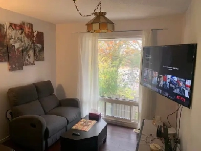 Bright & Spacious Room for Rent Image# 1