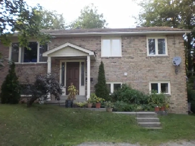 Room for Rent in Orillia September 1, 2025 Image# 1