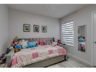 Belmont room for rent Image# 1