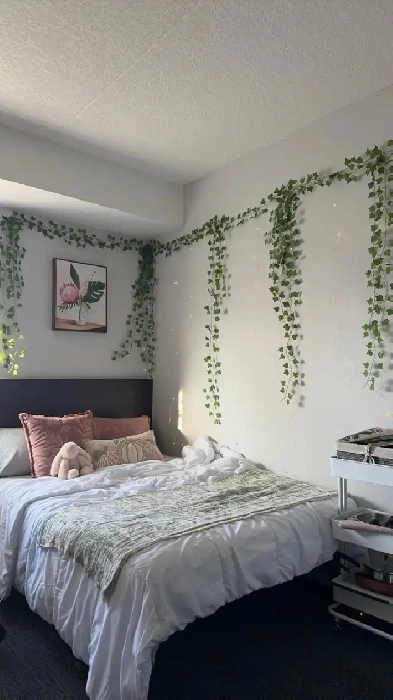 Rental apartment/ Dorm Image# 4