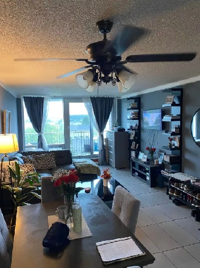 1 bed 1 bath - North End. furnished. utilities& parking included Image# 11