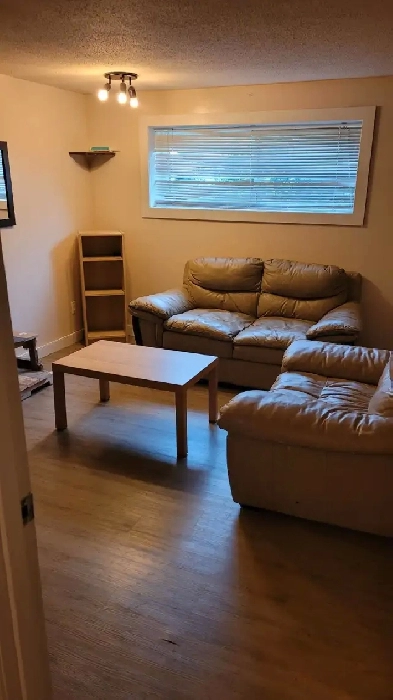Bright, private, with 3 beautiful rooms for rent Image# 9