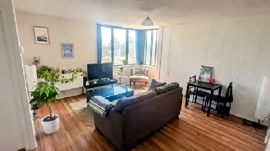 Appartement 3 1/2 - Plateau / Downtown - Dispo 1er Septembre Image# 8