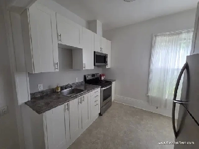 Spacious 1 Bedroom East Ward Image# 1