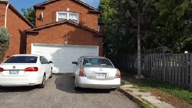 Brand New Legal 2 Bed Bsmt Apt at Bristol/HWY10. Mississauga Image# 1