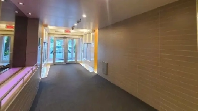 Fully Furnished Spacious 4.5 Apt in Griffintown Available Sept 1 Image# 9