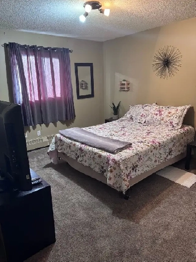Large Bedroom For Rent Woman Only Image# 1