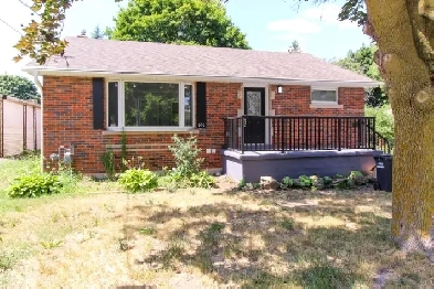 3 Bed 1 Bath House -  Guelph Image# 1