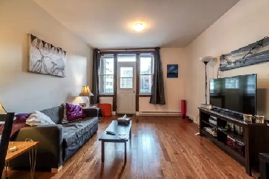Fully renovated 4 1/2 Downtown with appliances   A/C Image# 8