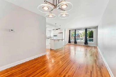 Bright 3-Bed 1-Bath Unit w/ Parking Near Algonquin & Transit Image# 8