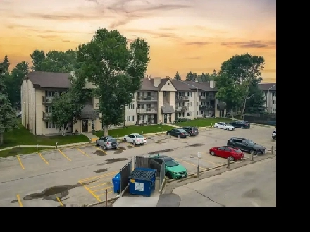 Tastefully Updated 2bdrm Top Floor End-Unit w/ In-Suite Laundry! Image# 6