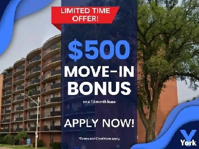 One Bedroom Apartment on Tecumseh Road across from Jackson Park Image# 1